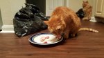 20170415_114557.jpg