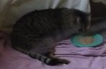April 2017 006eat.jpg