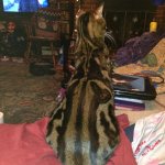 IMG_0640.JPG IMG_0640.JPG