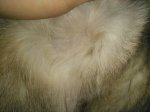 IMG_20170419_225824.jpg