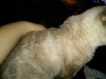 IMG_20170419_225907.jpg