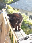 IMG_20170421_075834.jpg