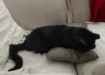 IMG_20170421_093803.jpg