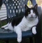 IMG_20170421_230606.jpg