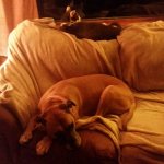 20170422_000326.jpg