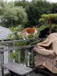 IMG_20170424_164540.jpg