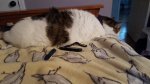 20170425_175839.jpg