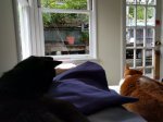 IMG_20170425_153748.jpg