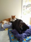 IMG_20170425_143310.jpg