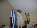 FB_IMG_1493257787675.jpg