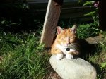 20130508_171435.jpg
