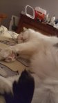 20170430_195930.jpg