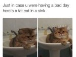FB_IMG_1435002837832.jpg