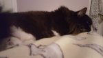20170501_220337.jpg