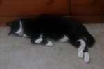 20170502_142306-1_resized.jpg
