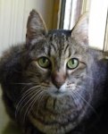 Spike06May17.jpg