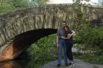 Central Park low res2.jpg