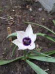 IMG_8229.JPG