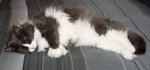 All Tired Out.jpg