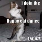happy cat dance.jpeg happy cat dance.jpeg
