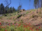 IMG_20170525_161003.jpg