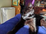 IMG_20170127_145314.jpg