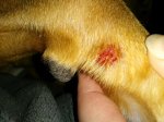 IMG_20170403_233100.jpg