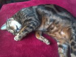 LUCY - WIN_20160126_150544.JPG