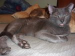 MOUZER JUNE 163 2017 STONE1.JPG