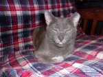 100_0443.JPG