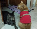 Leo and Little Dude - 2017-06-11 b.jpg