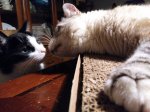 IMG_20170612_233833.jpg