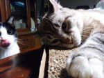IMG_20170612_233838.jpg