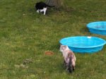 IMG_20170623_201512.jpg