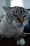 IMG_20170707_224732.jpg