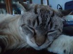 IMG_20170707_163706.jpg