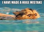 5bcc72203d2c5bba540cb493a897d2a4--keep-swimming-swimming-pools.jpg