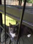 Rico Catio.JPG