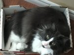 I fit therefore I sit IMG_0963.jpg