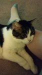 20170719_214444.jpg