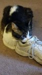 20170719_195339.jpg