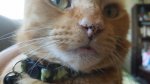 20170723_174730.jpg