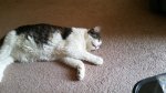 20170724_075211.jpg