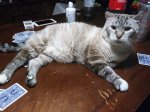 IMG_20170731_002855.jpg