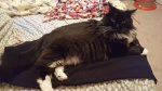 20170801_071443.jpg