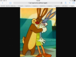 IMG_2549.PNG