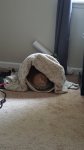 20170812_165056.jpg