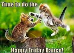 cat happy friday.jpg
