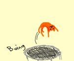 cat on trampoline.png