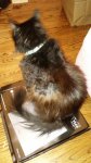 20170820_123536.jpg